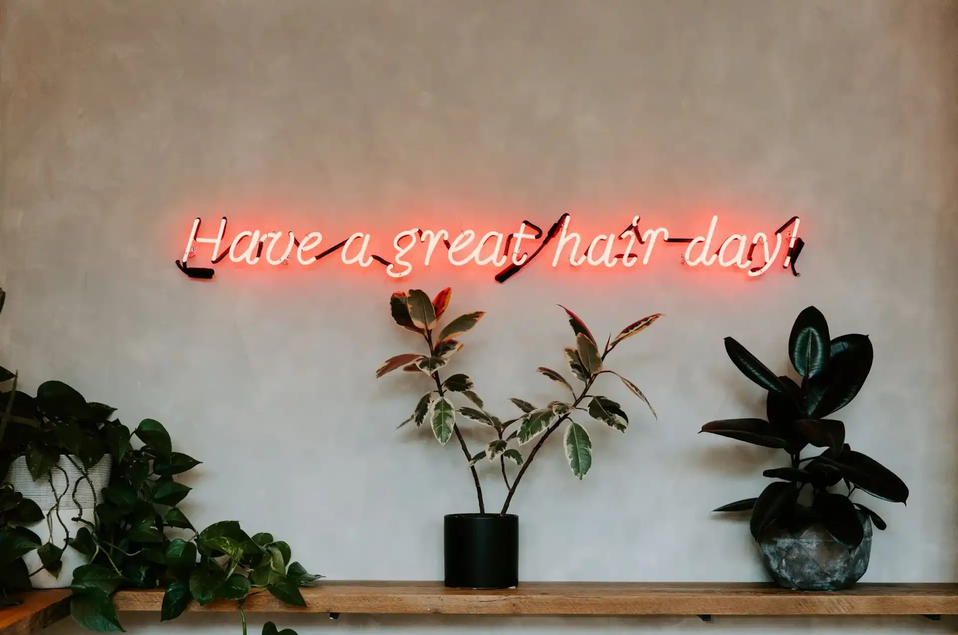 Neon sign "Have a great hair day!" with potted plants on a wooden shelf.